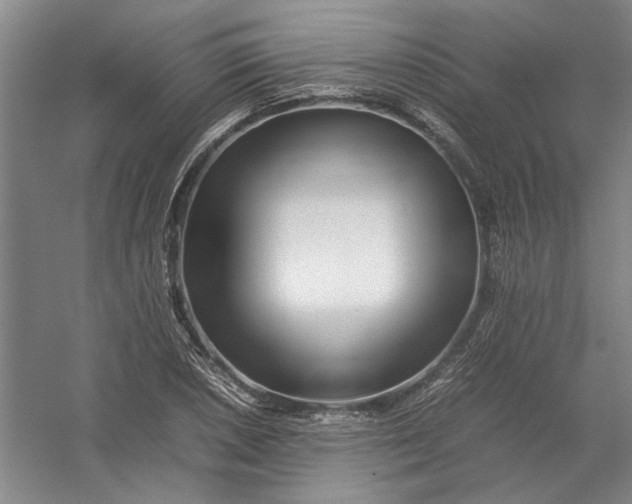 X0000054411026200508192026