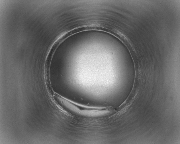 X0000054411029200508192026