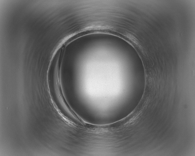 X0000054411030200508192026