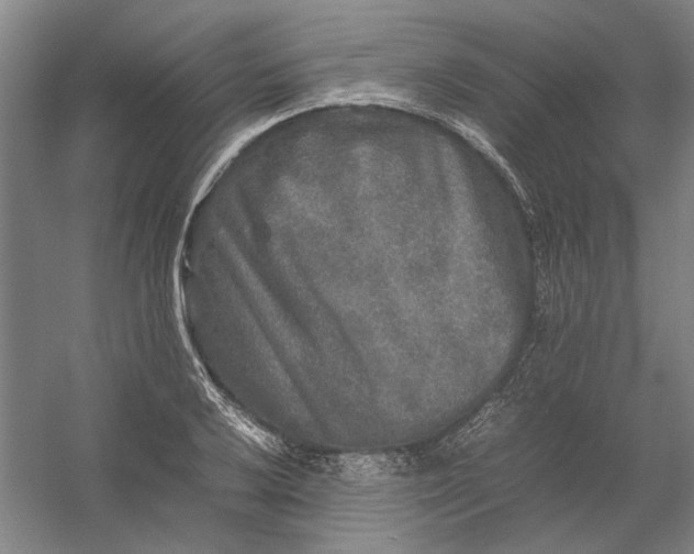 X0000054411032200508192026