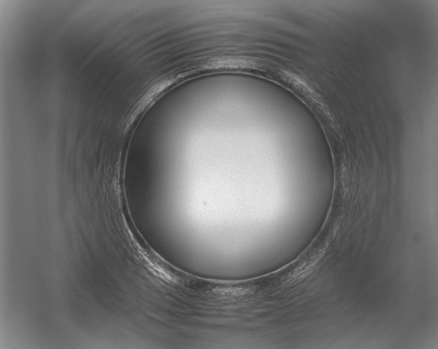 X0000054411033200508192026
