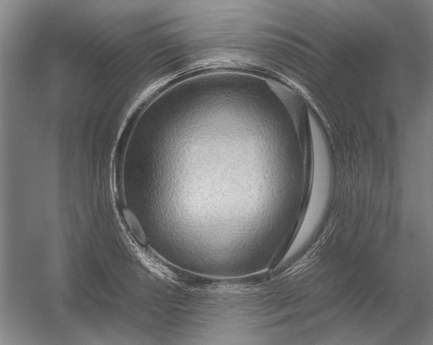 X0000054411034200508192026