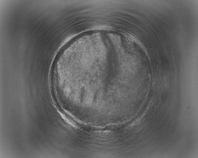 X0000054411037200508192026