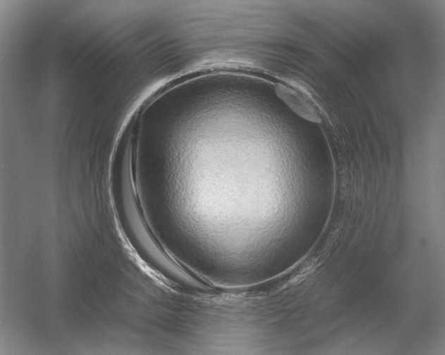 X0000054411038200508192026