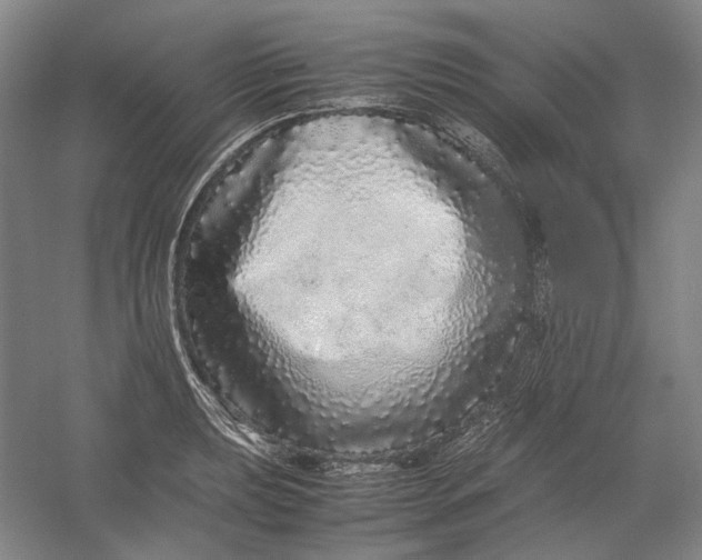 X0000054411039200508192026