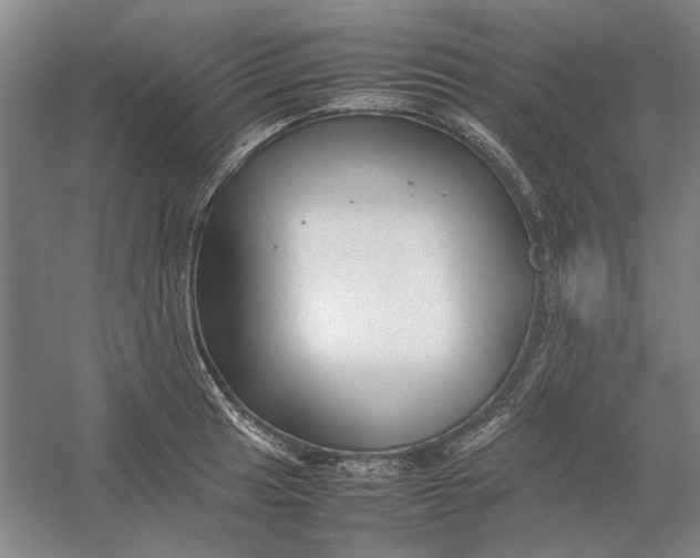 X0000054411041200508192026