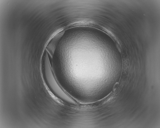 X0000054411042200508192026