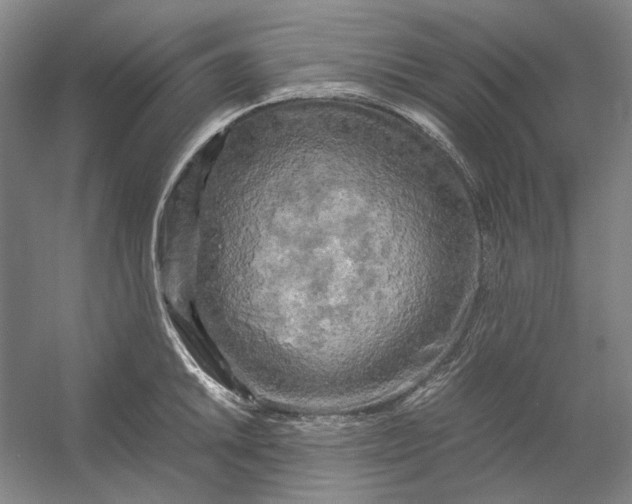 X0000054411046200508192026
