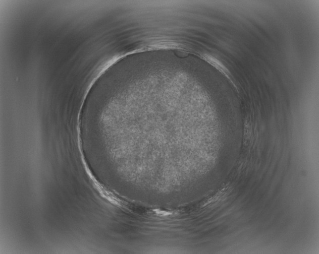 X0000054411047200508192026