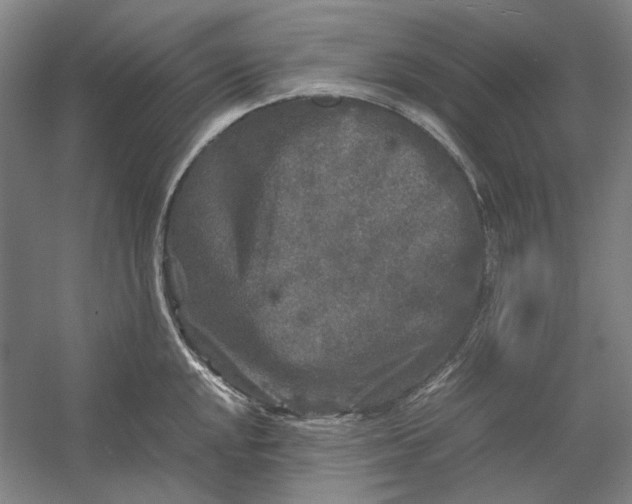 X0000054411048200508192026