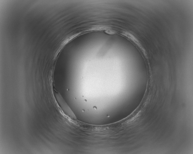 X0000054411049200508192026