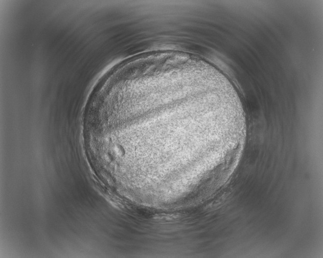 X0000054411051200508192026