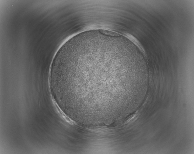 X0000054411052200508192026