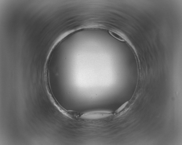 X0000054411053200508192026