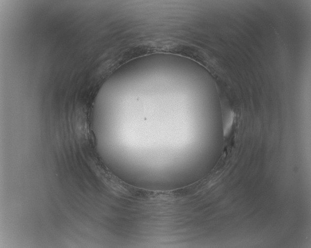X0000054411058200508192025