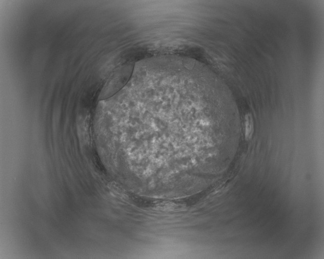 X0000054411059200508192025