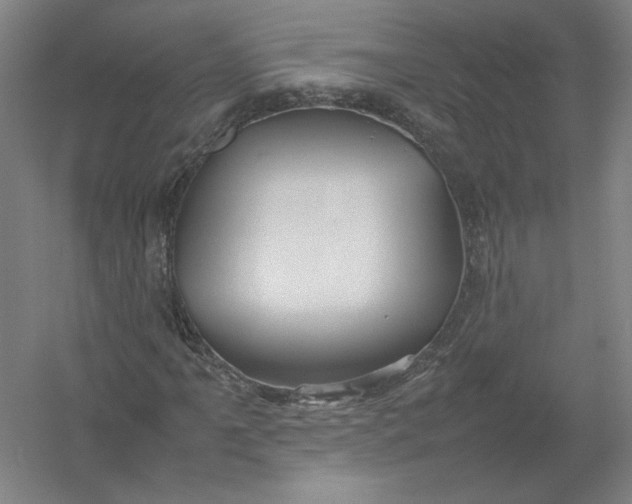 X0000054411061200508192025