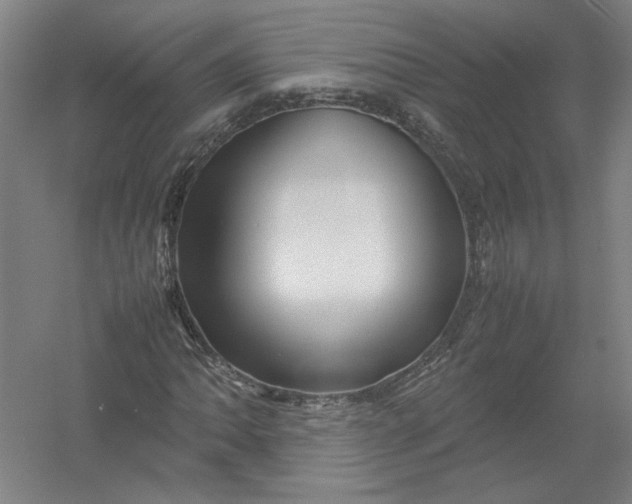 X0000054411062200508192025