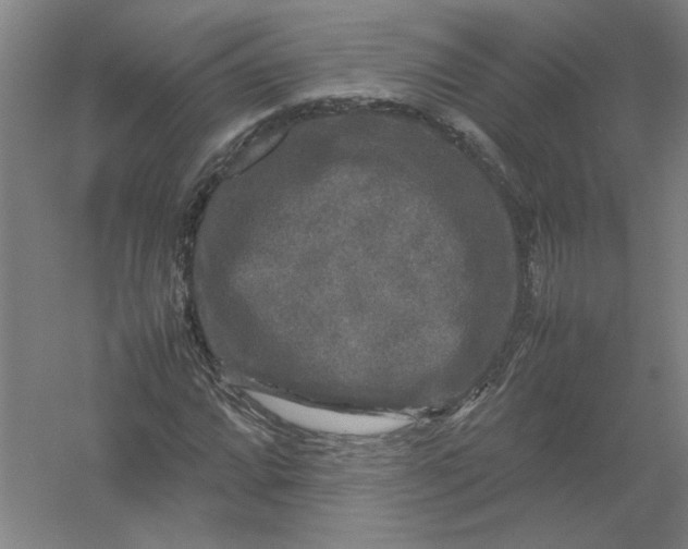 X0000054411064200508192025