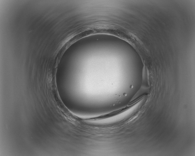 X0000054411065200508192025