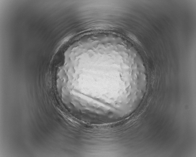 X0000054411067200508192025