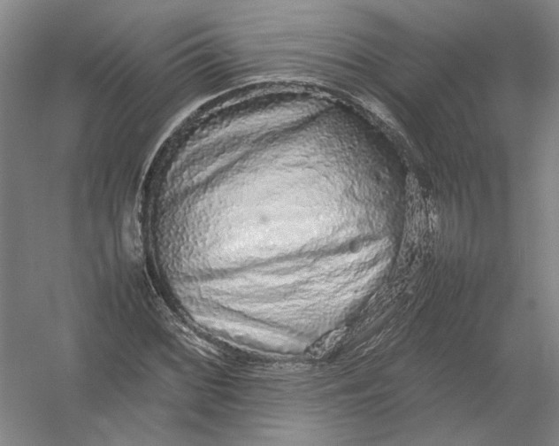 X0000054411068200508192025
