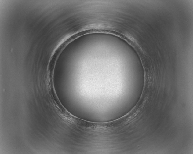 X0000054411070200508192025