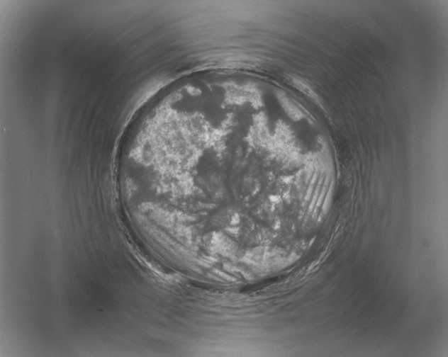 X0000054411071200508192025