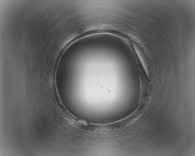 X0000054411073200508192025