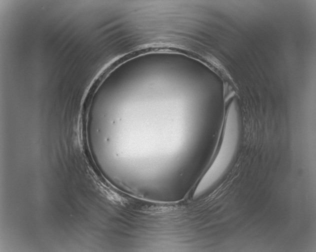 X0000054411076200508192025