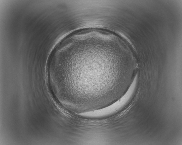 X0000054411077200508192025