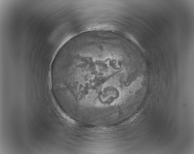 X0000054411079200508192025