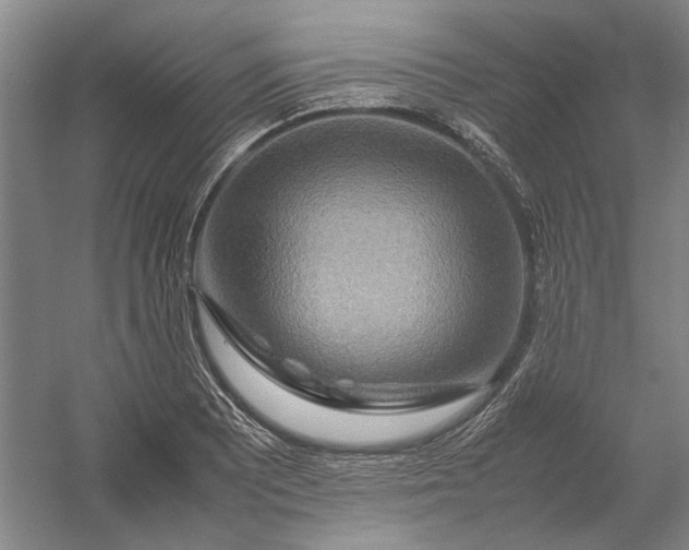 X0000054411081200508192025