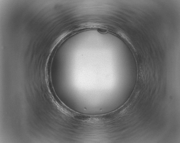X0000054411082200508192025