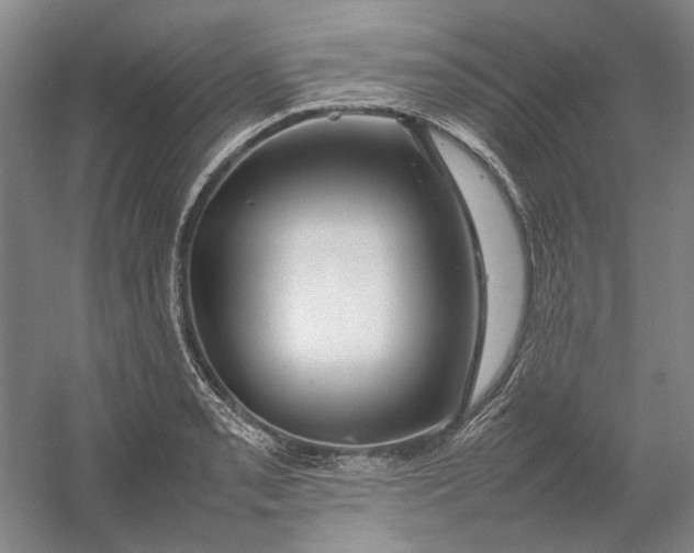 X0000054411085200508192025