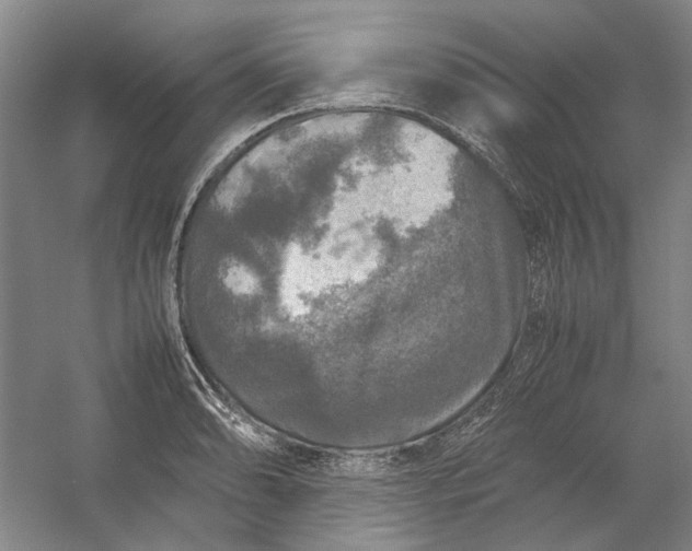 X0000054411086200508192025