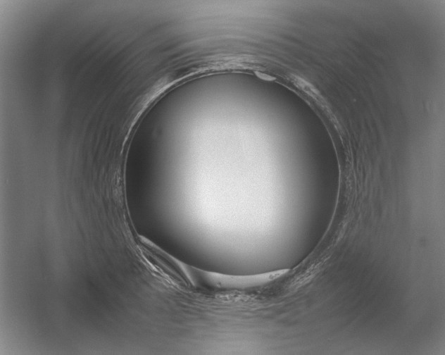 X0000054411089200508192025