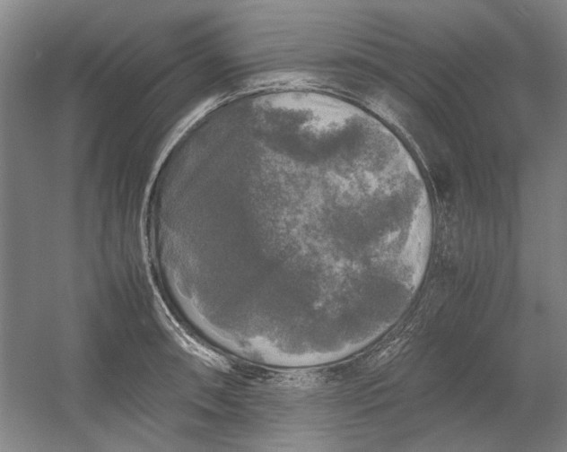 X0000054411090200508192025