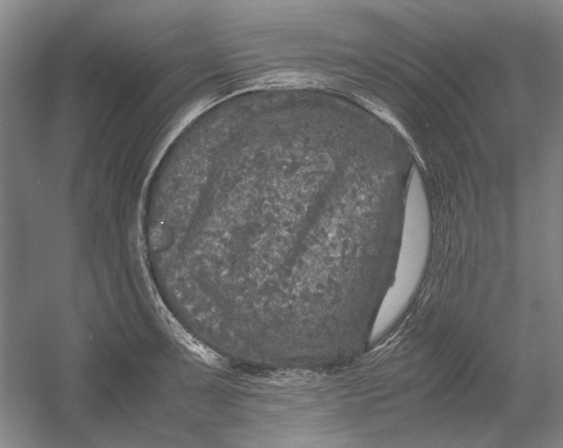X0000054411091200508192025