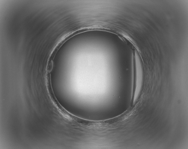 X0000054411093200508192025