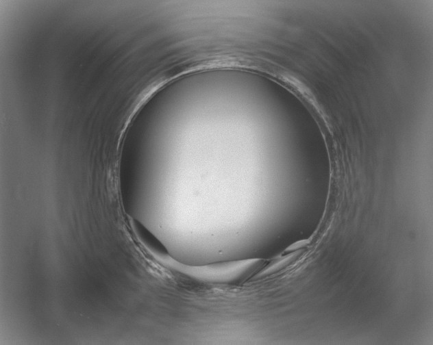 X0000054411097200508192025