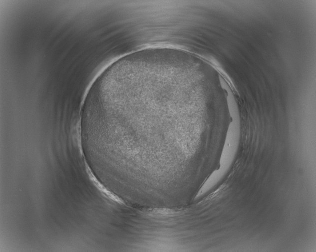 X0000054411100200508192024