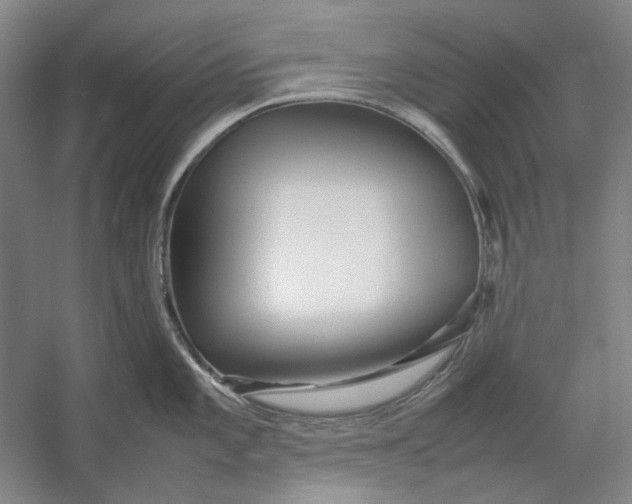 X0000054411101200508192024