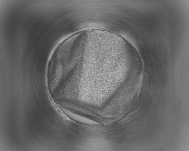X0000054411104200508192024