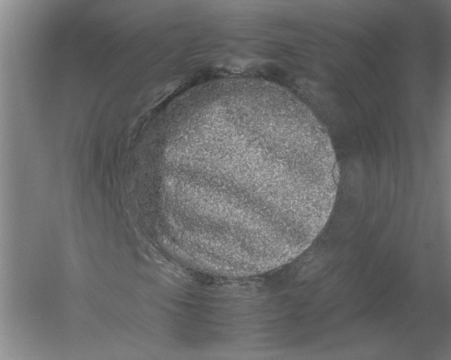 X0000054411105200508192024