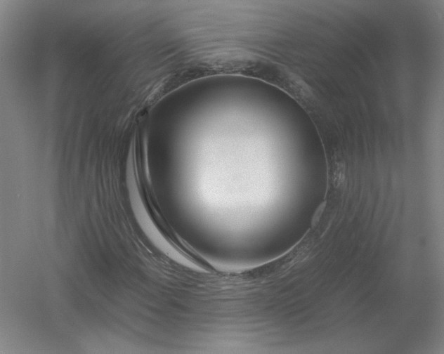 X0000054411108200508192024
