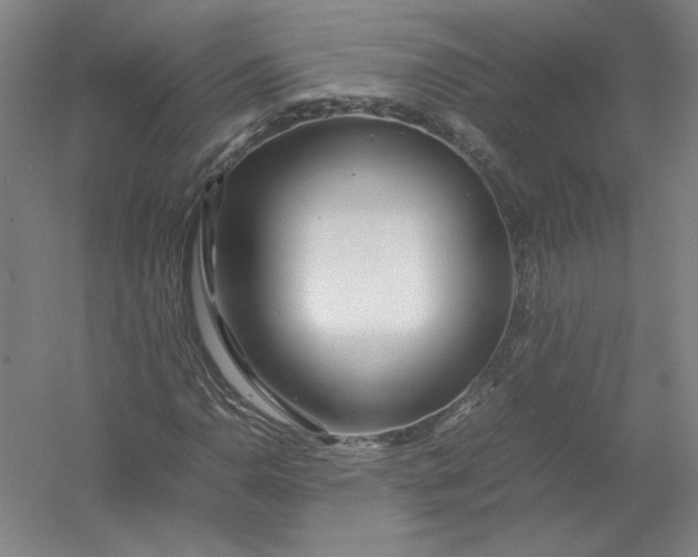 X0000054411110200508192024