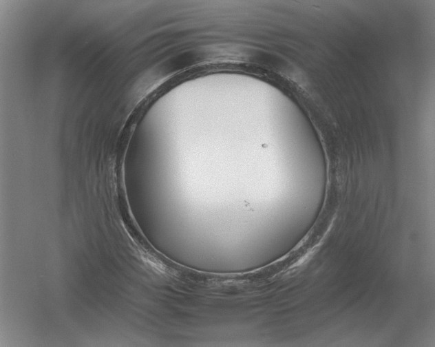 X0000054411113200508192024