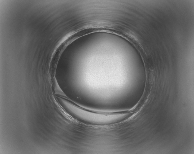 X0000054411114200508192024