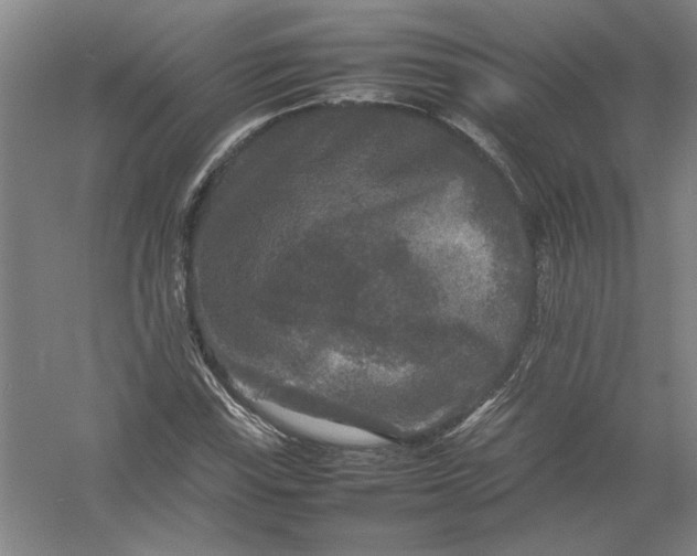 X0000054411115200508192024